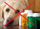 no to pet travel sedation