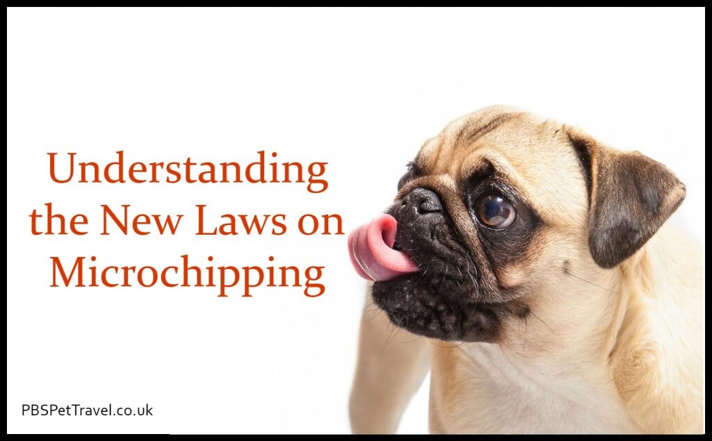 Understanding microchipping dog cat owners